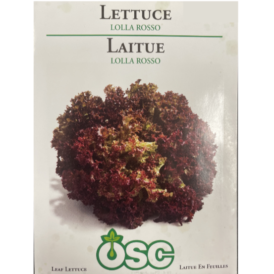 OSC Seeds Lettuce Lolla Rosso
