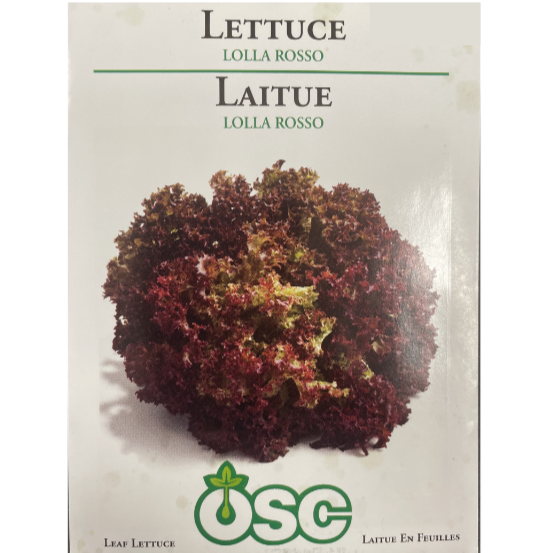 OSC Seeds Lettuce Lolla Rosso Pkg.