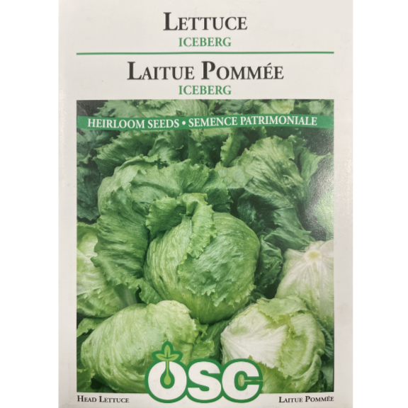 OSC Seeds Lettuce Iceberg Pkg