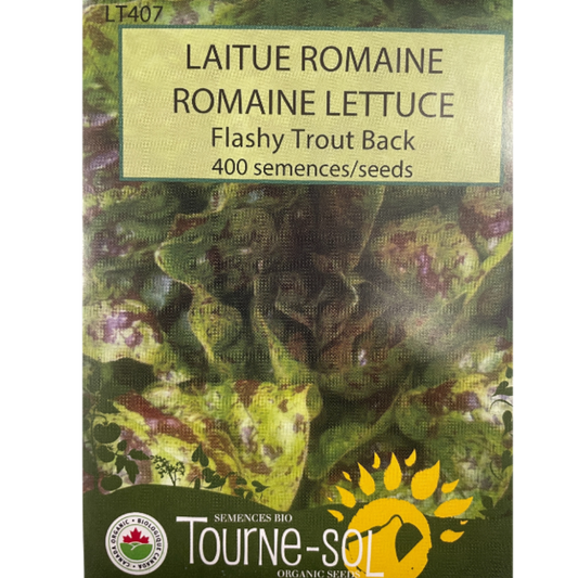 Tourne-Sol Lettuce Flashy Trout Back Romaine Pkg.
