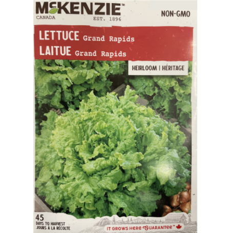 McKenzie Seed Lettuce Grand Rapids Pkg.