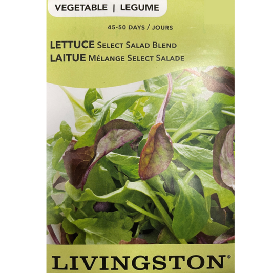 Livingston Seeds Lettuce Select Salad Blend Pkg