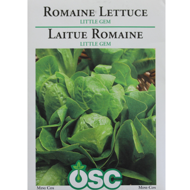 OSC Seeds Lettuce Romaine Little Gem