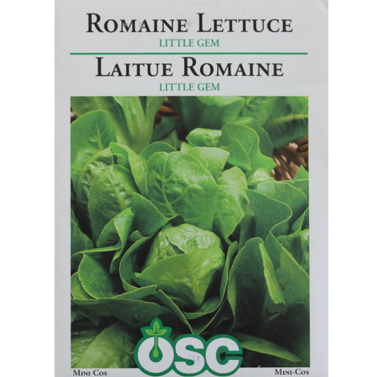 OSC Seeds Lettuce  Little Gem Romaine Pkg.