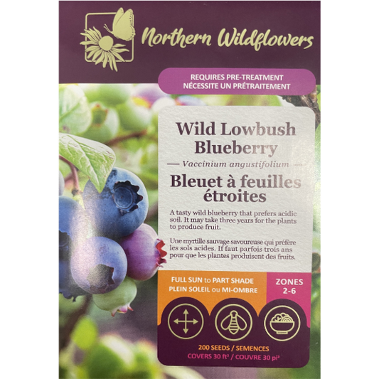 Northern Wildflowers Blueberry Lowbush Pkg.