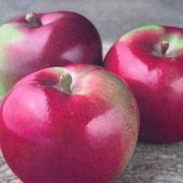 Apple McIntosh 7gal
