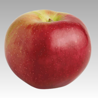 Apple Macoun 5gal