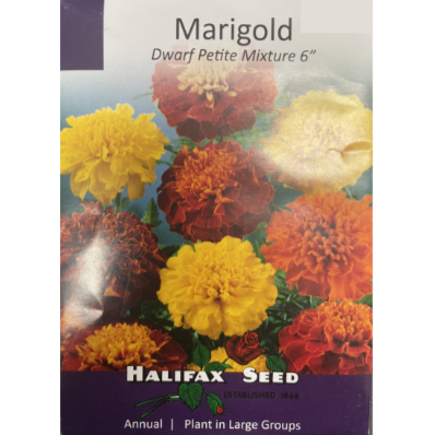 Halifax Seed Marigold Dwarf Petite Mixture 6" Pkg.