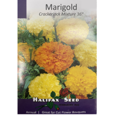 Halifax Seed Marigold Crackerjack Mixture 36" Pkg.
