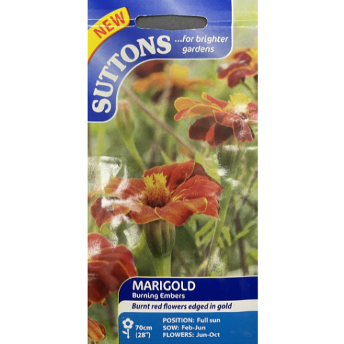 Suttons Seed Marigold Burning Embers