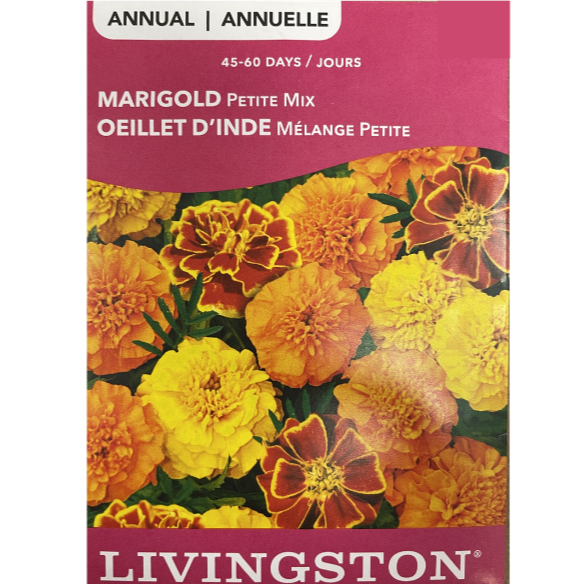 Livingston Seeds Marigold Petite Mix Pkg