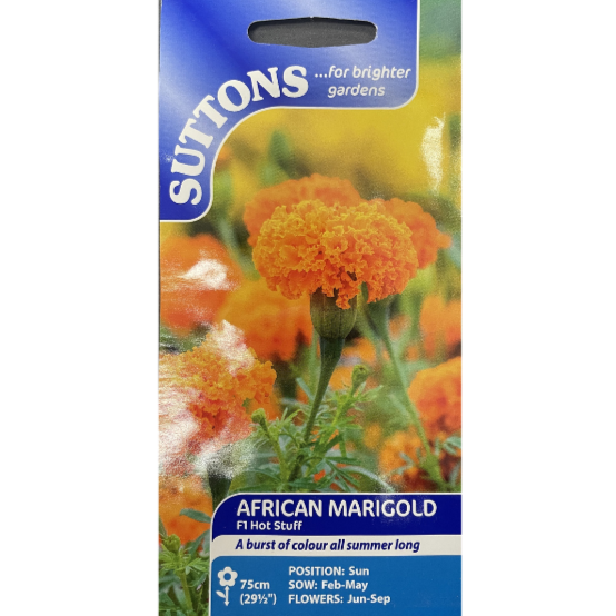Suttons Seed African Marigold F1 Hot Stuff