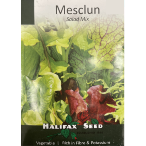 Halifax Seed Mesclun Salad Mix