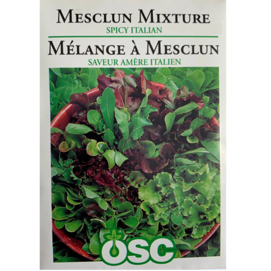 OSC Seeds Mesclun Mixture Spicy Italian Pkg