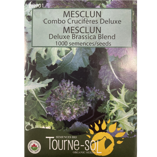 Tourne-Sol Mesclun Deluxe Brassica Blend Pkg