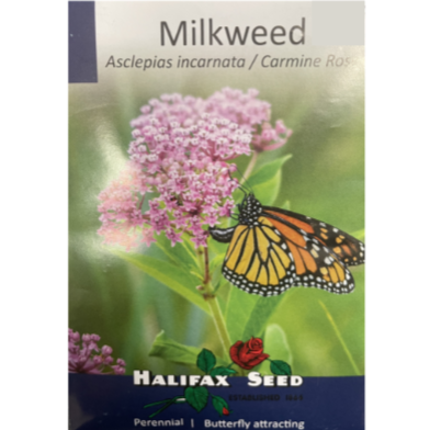 Halifax Seed Milkweed Carmine Rose