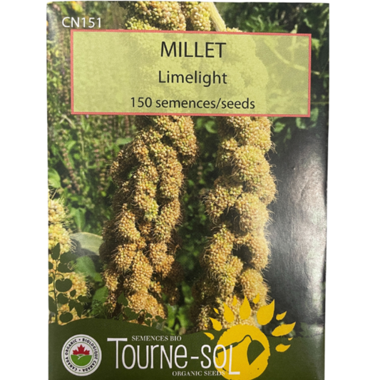 Tourne-Sol Millet Limelight Pkg