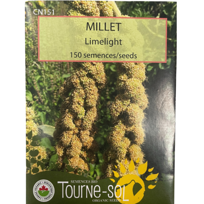 TourneSol Millet Limelight Pkg Scott's Nursery Ltd.