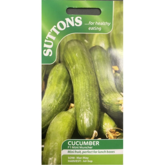 Suttons Seeds Cucumber F1 Mini Muncher