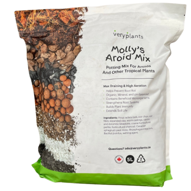 Molly's Aroid Mix 5.5L