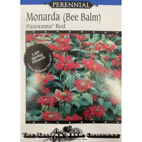 Halifax Seed Monarda (Bee Balm) Panorama Red