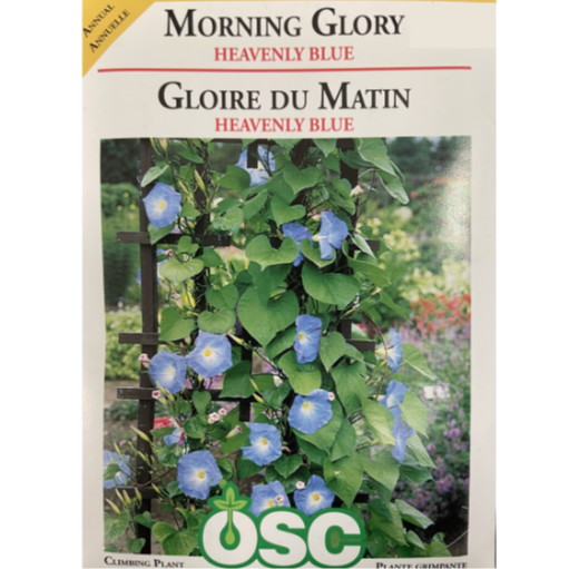 OSC Seeds Morning Glory Heavenly Blue Pkg