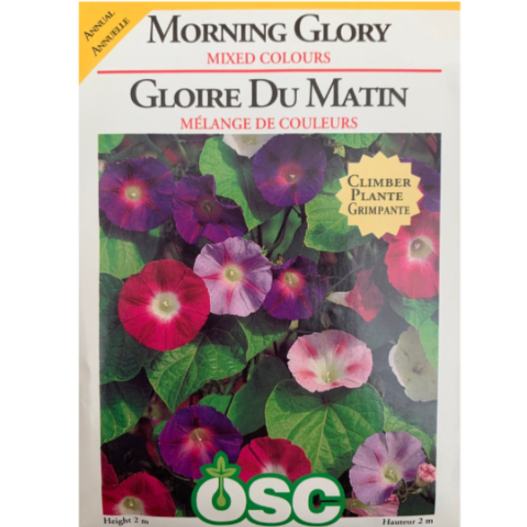 OSC Seeds Morning Glory Mixed Colours