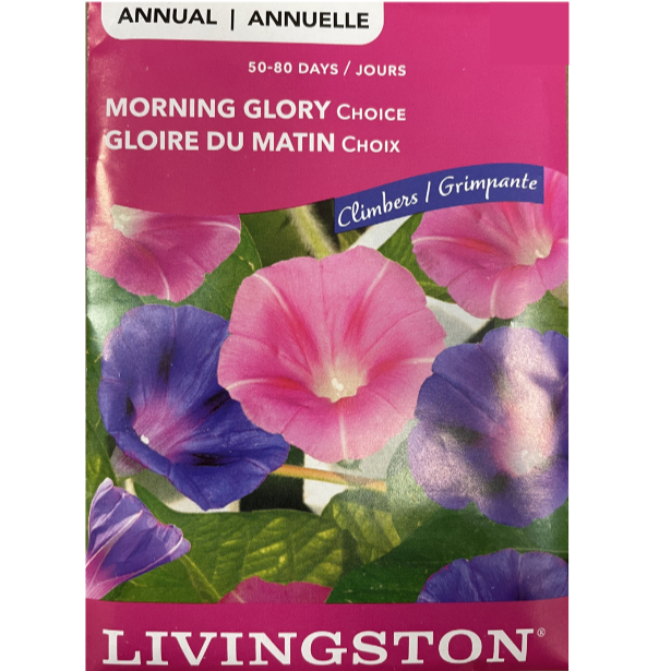 Livingston Seeds Morning Glory Choice