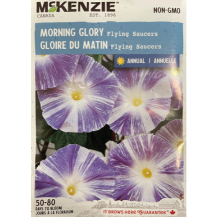 McKenzie Seed Morning Glory Flying Saucers Pkg