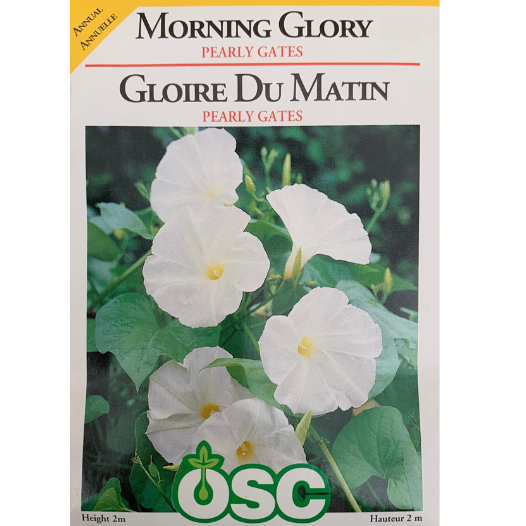 OSC Seeds Morning Glory Pearly Gates Pkg