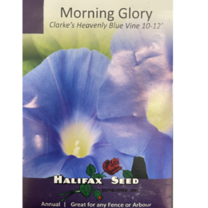 Halifax Seed Morning Glory Clark's Heavenly Blue
