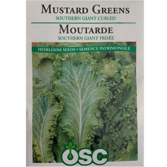 OSC Seeds Mustard Greens Southern Giant Curled Pkg