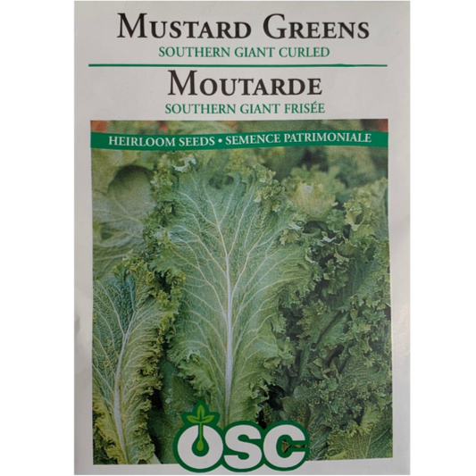 OSC Seeds Mustard Greens Southern Giant Curled Pkg.
