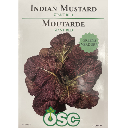 OSC Seeds Indian Mustard Giant Red Pkg