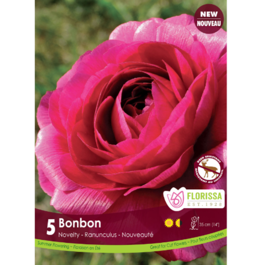 Bulbs Ranunculus Amandine Bonbon 5/Pkg.