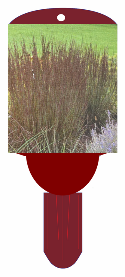 Grass 'Smoke Signal'