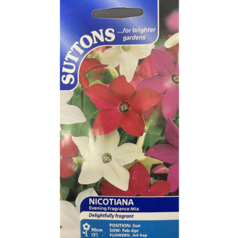 Suttons Seed Nicotiana Evening Fragrance Mix