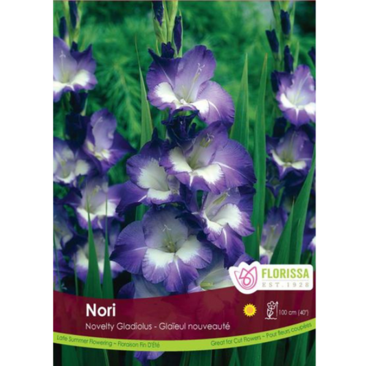 Bulbs Gladiolus Nori 8/Pkg.