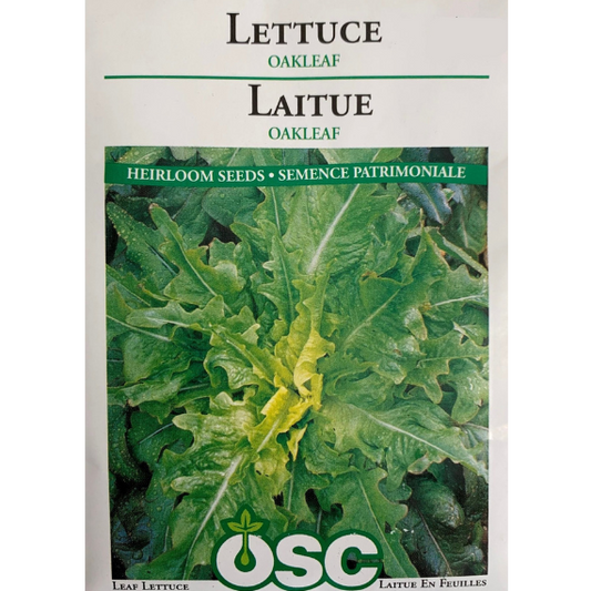 OSC Seeds Lettuce Oakleaf Pkg.