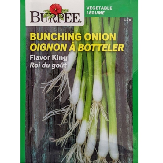 Burpee Seeds Bunching Onion Flavour King