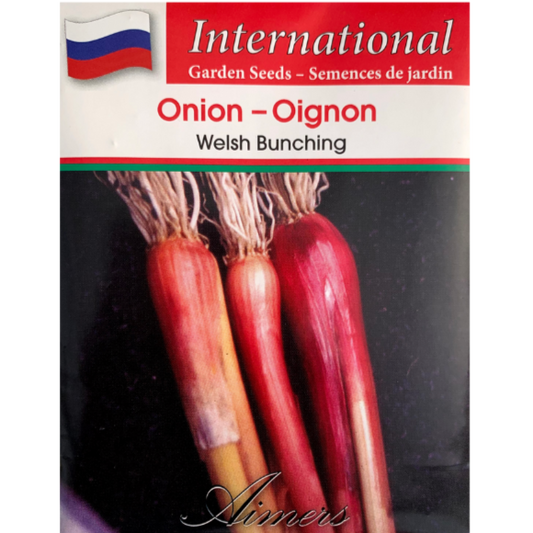 Aimers International Onion Welsh Bunching