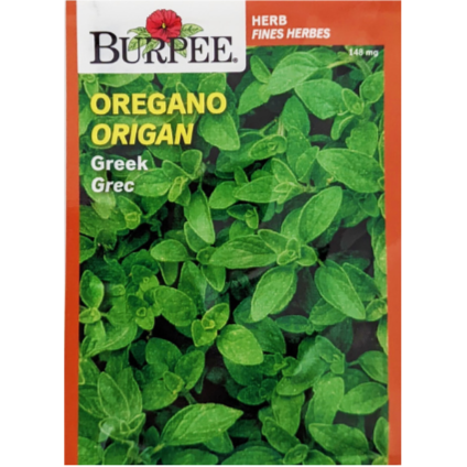 Burpee Seeds Oregano Greek