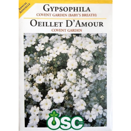 OSC Seeds Gypsophila Covent Garden Baby's Breath Pkg.