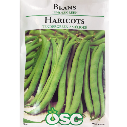 OSC Seeds Bean Tendergreen