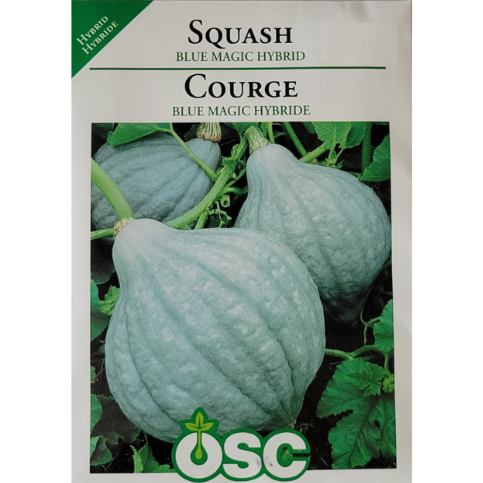 OSC Seeds Squash Blue Magic Hybrid