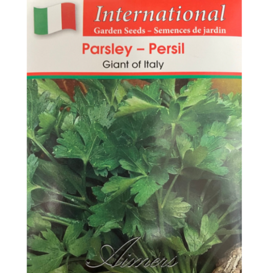 Aimers International Parsley Giant of Italy