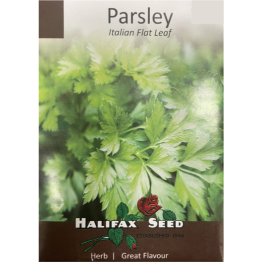 Halifax Seed Parsley Italian Flat Leaf