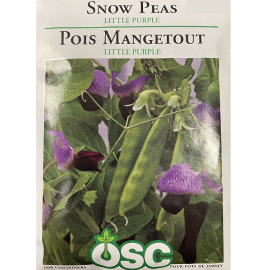 OSC Seeds Snow Peas Little Purple
