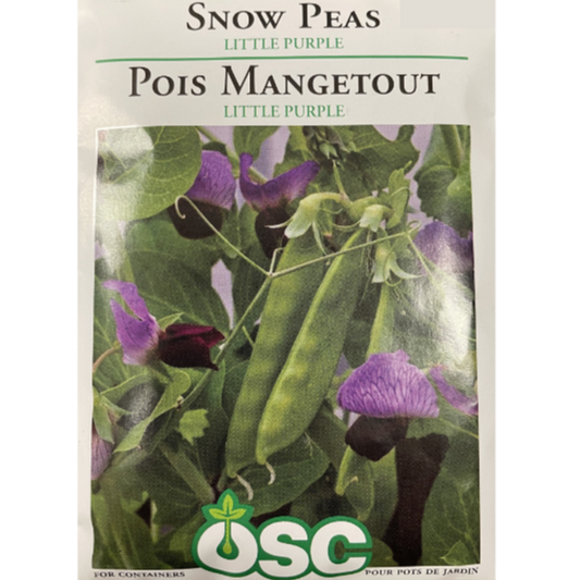 OSC Seeds Pea Snow Little Purple