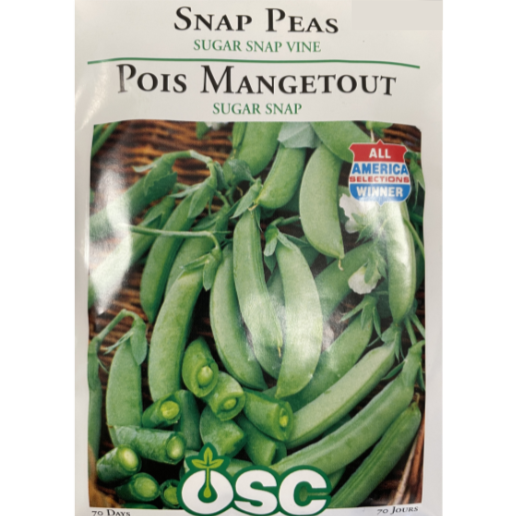 OSC Seeds Snap Peas Sugar Snap Vine
